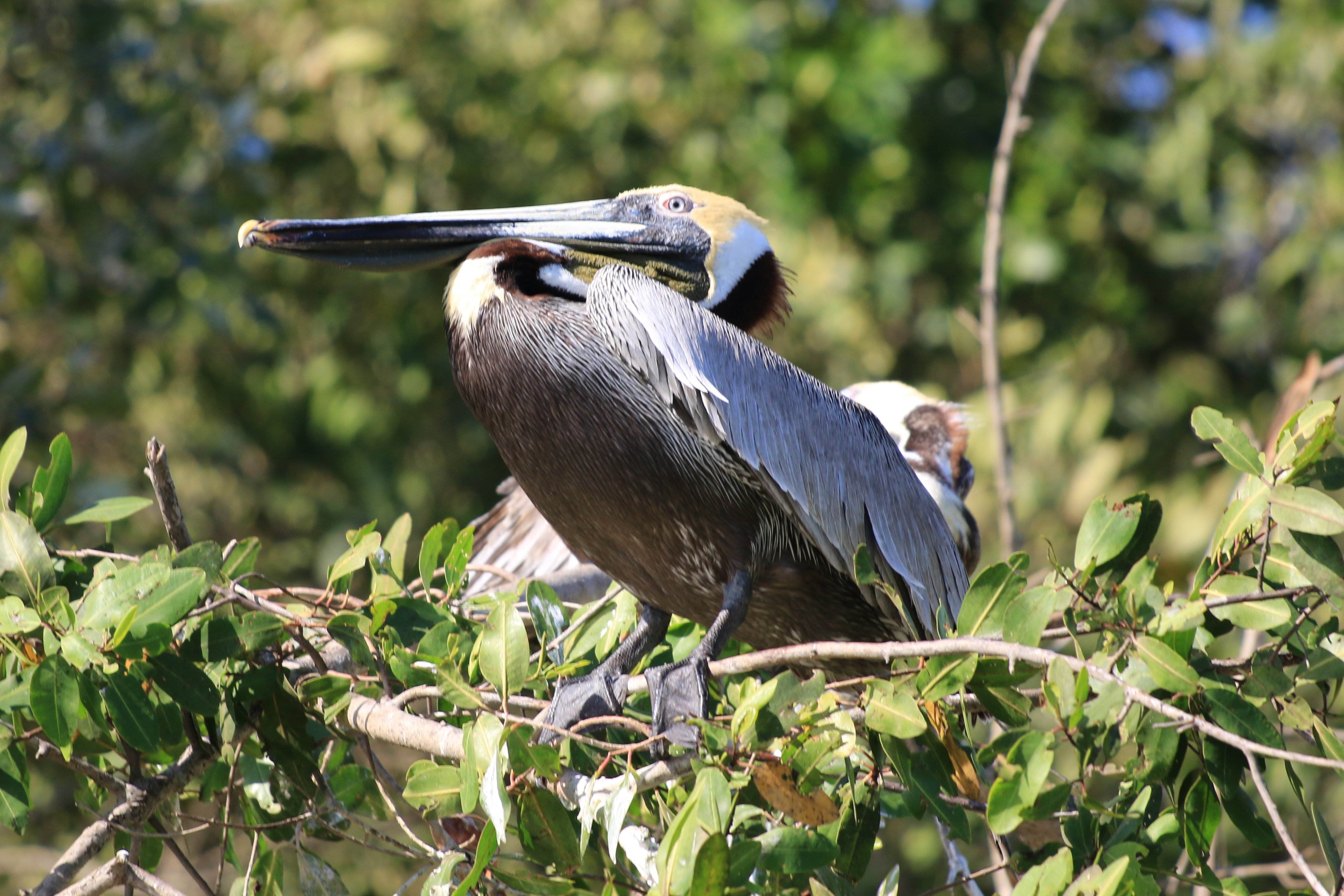 Costa Rica